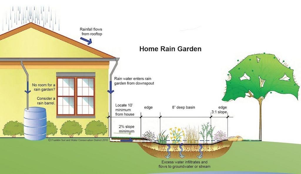 rain garden size