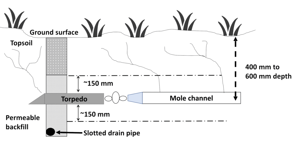 drainage time | rain garden depth