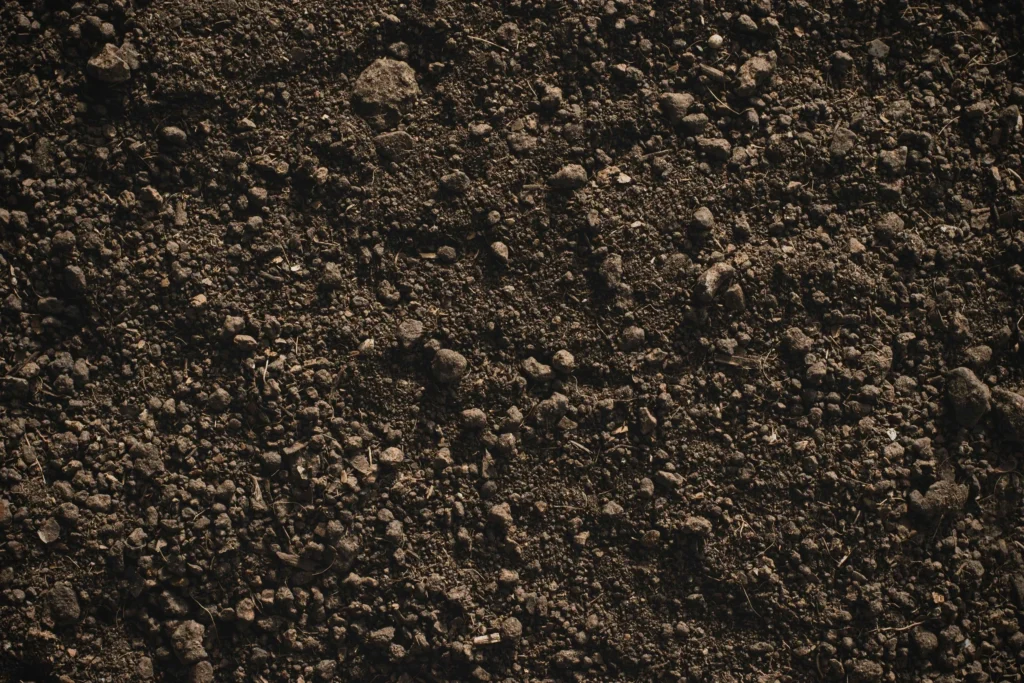 loamy soil | rain garden depth