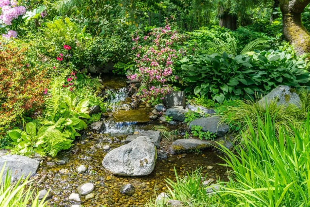 Native Plants | Best Plants for rain garden