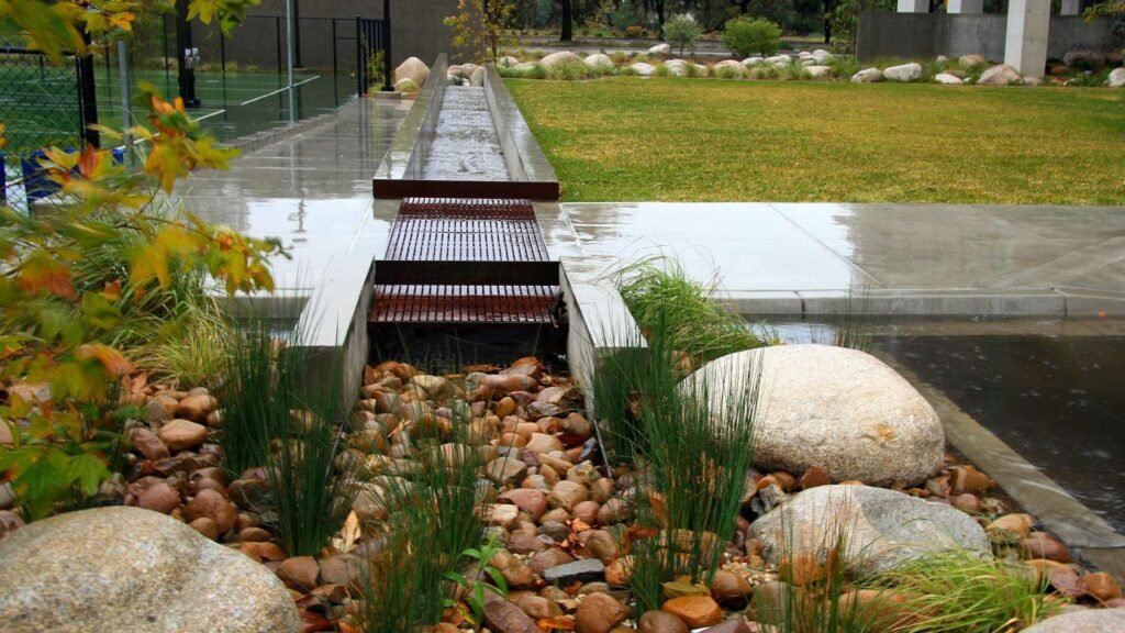 How to Keep a Rain Garden Looking | Best Plants for rain garden