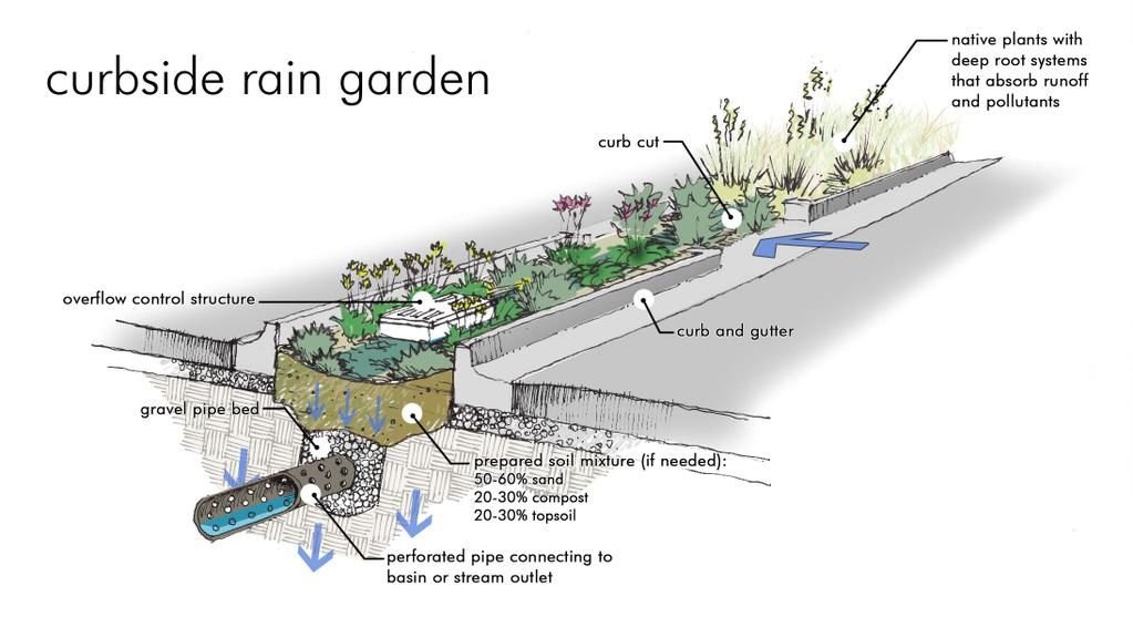 oversized rain garden