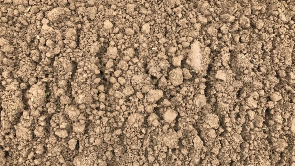 sandy soil | rain garden depth