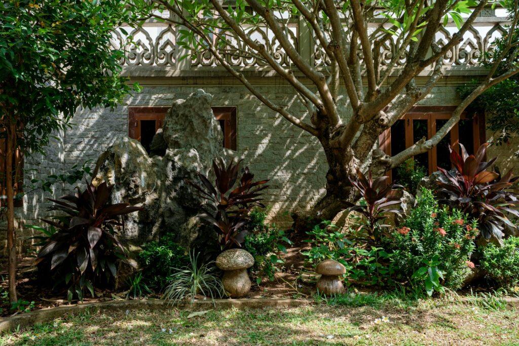 full sun shade in garden