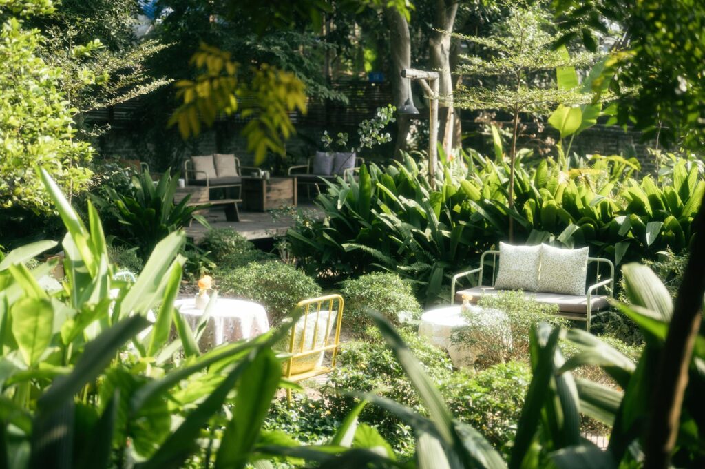 full sun in garden