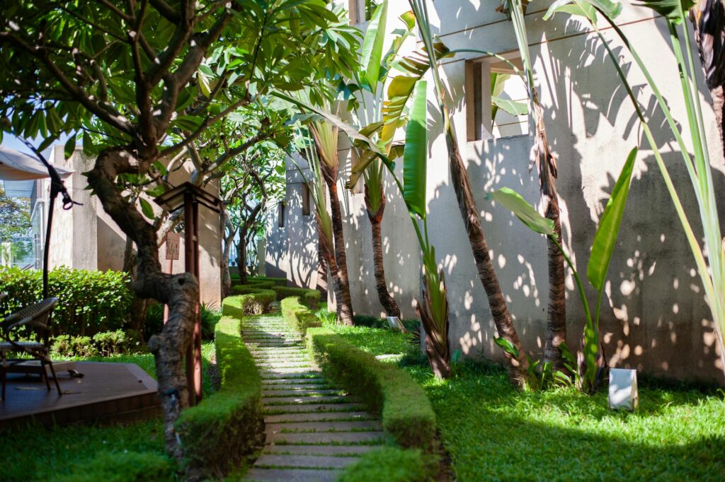 Full Sun, Partial Sun, and Shade Explained for Gardeners