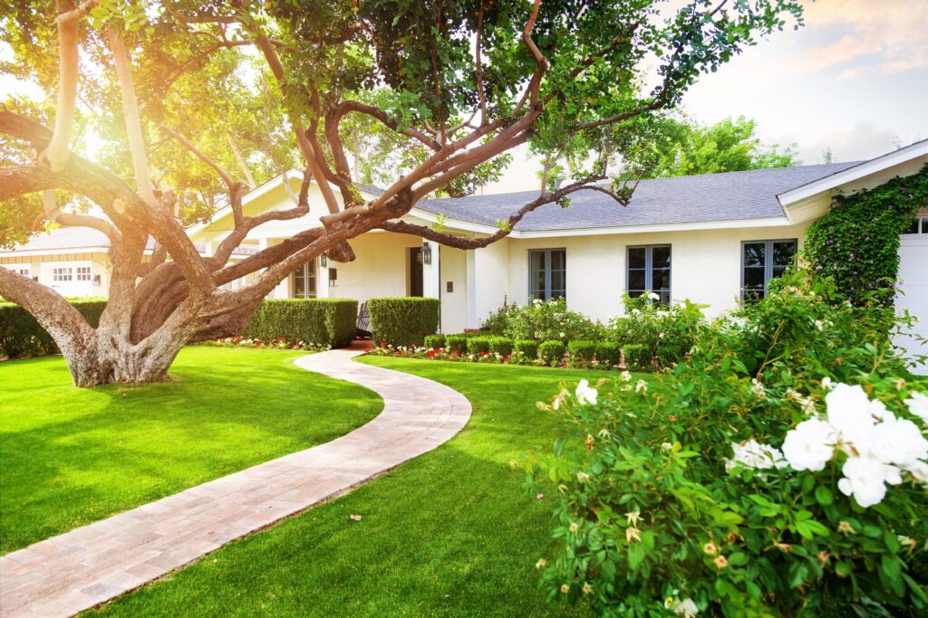 Garden Planning Tips Using a Sun Calculator