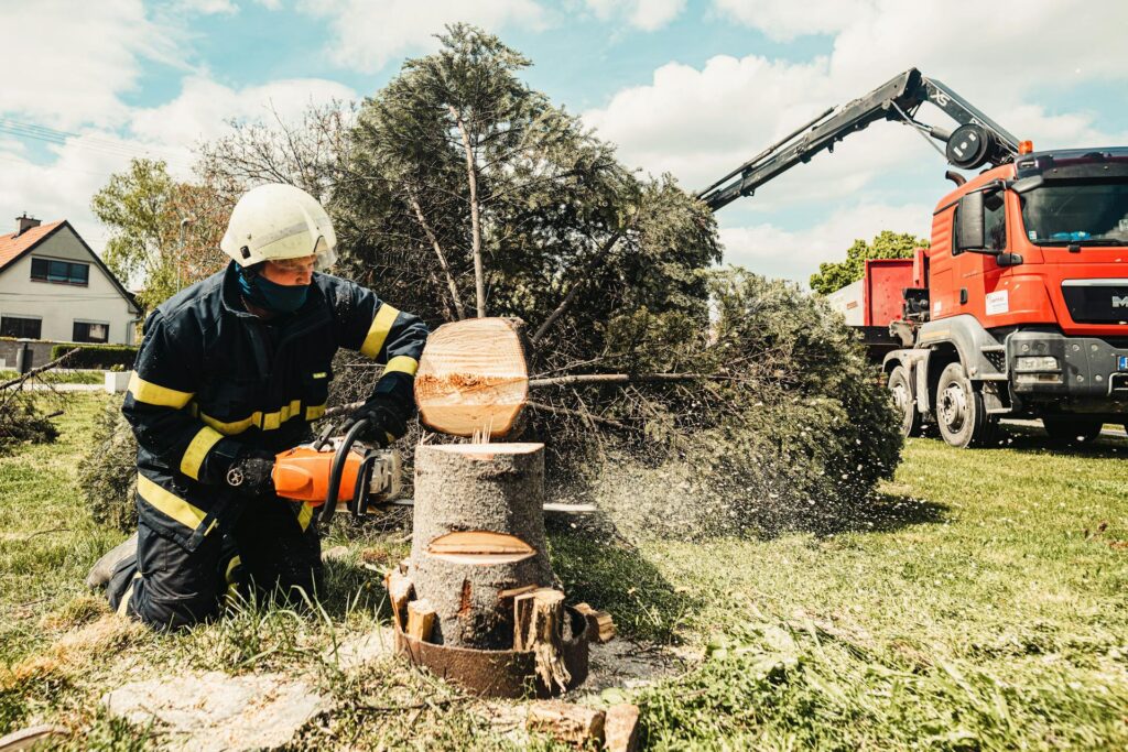 Hidden Costs of Tree Removal