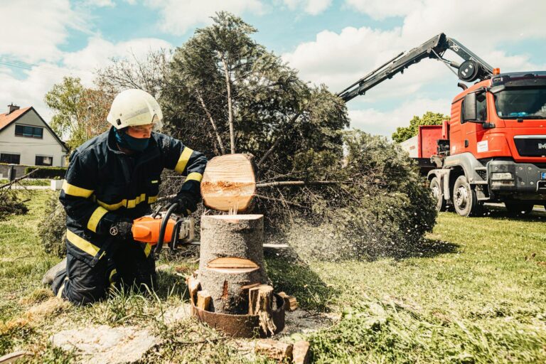 Hidden Costs of Tree Removal