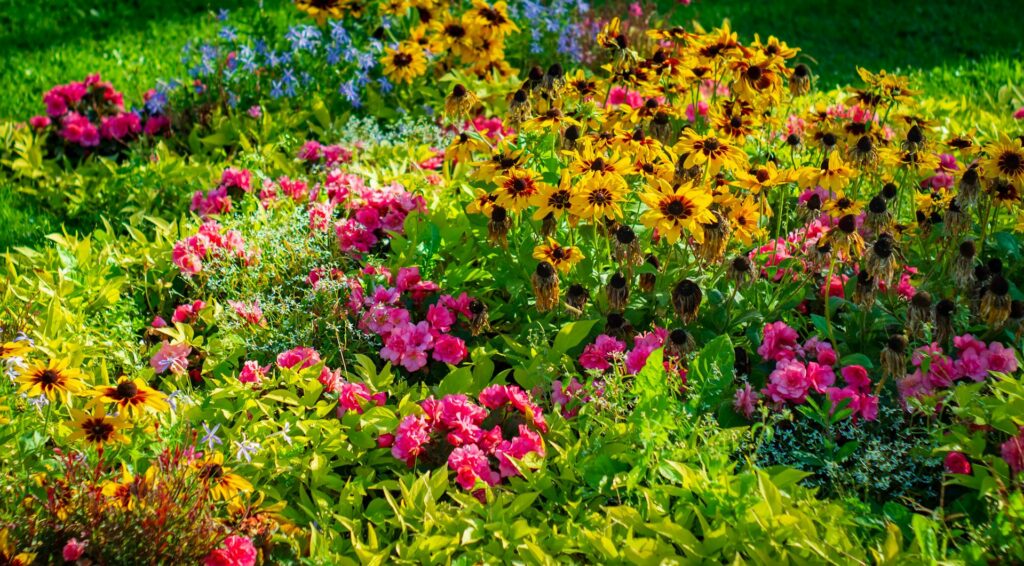 How to Improve Sun Situation in garden