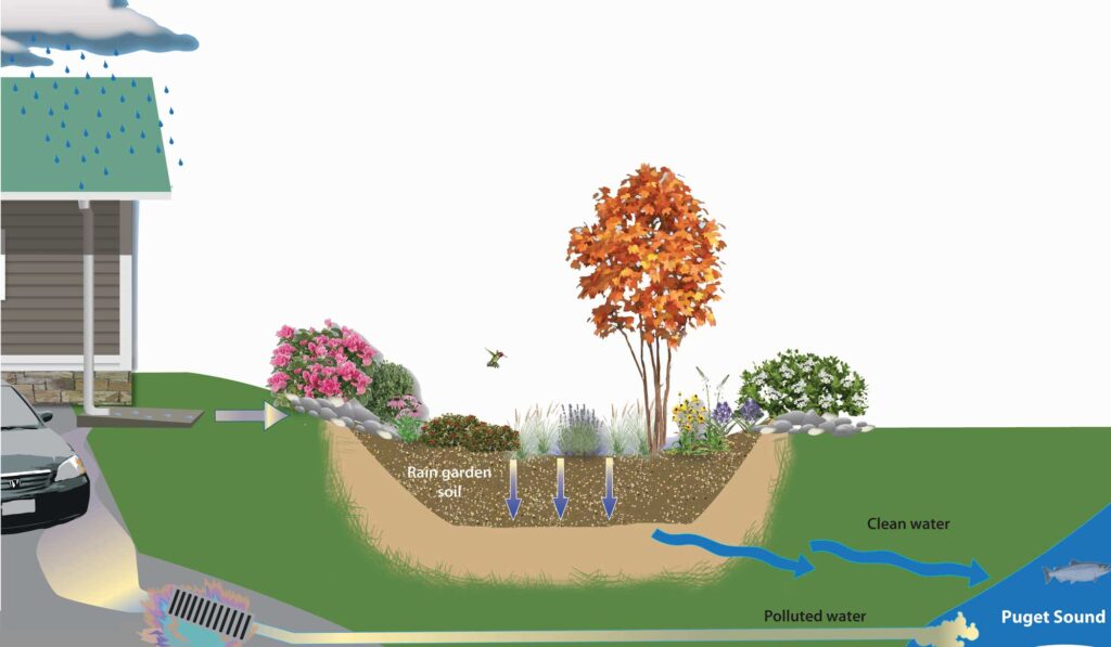 rain garden Percolation Test