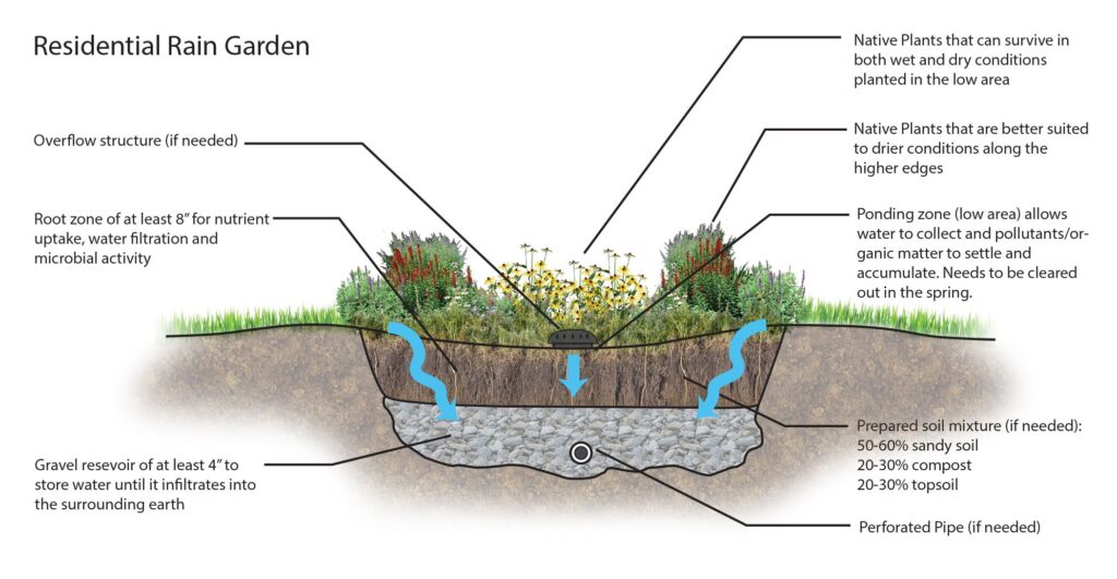 correct sizing of rain garden