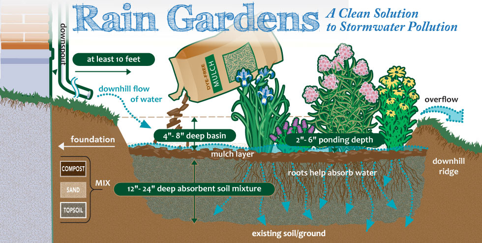 path of rain garden