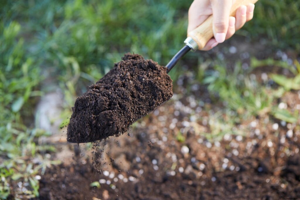 soil preparation for rain garden