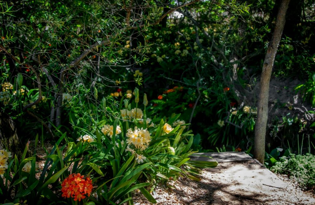 Partial Sun in garden
