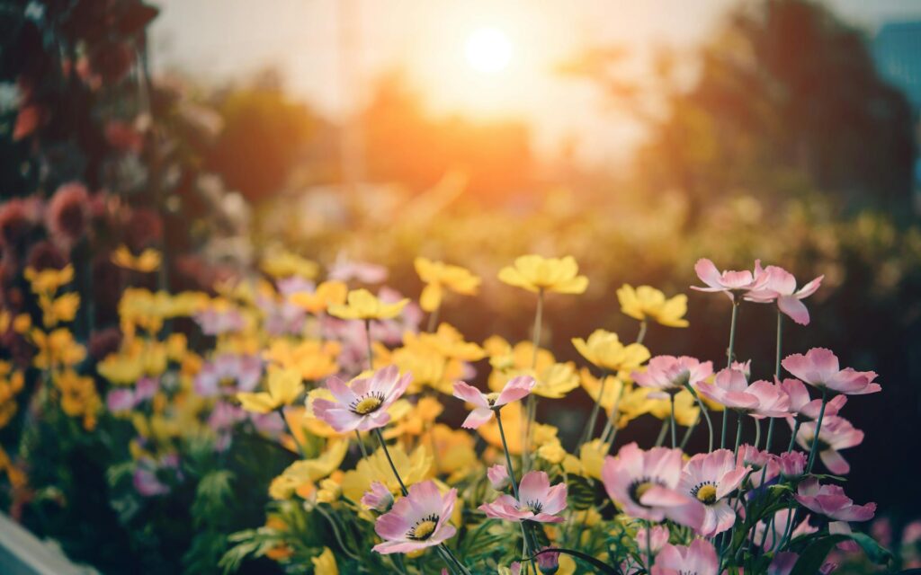 Spring 