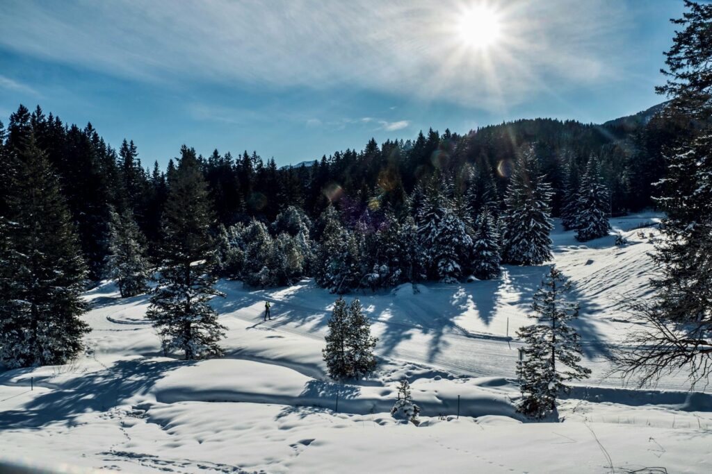 winter