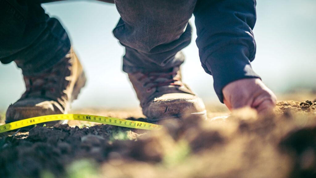 Common Measuring Mistakes in Garden