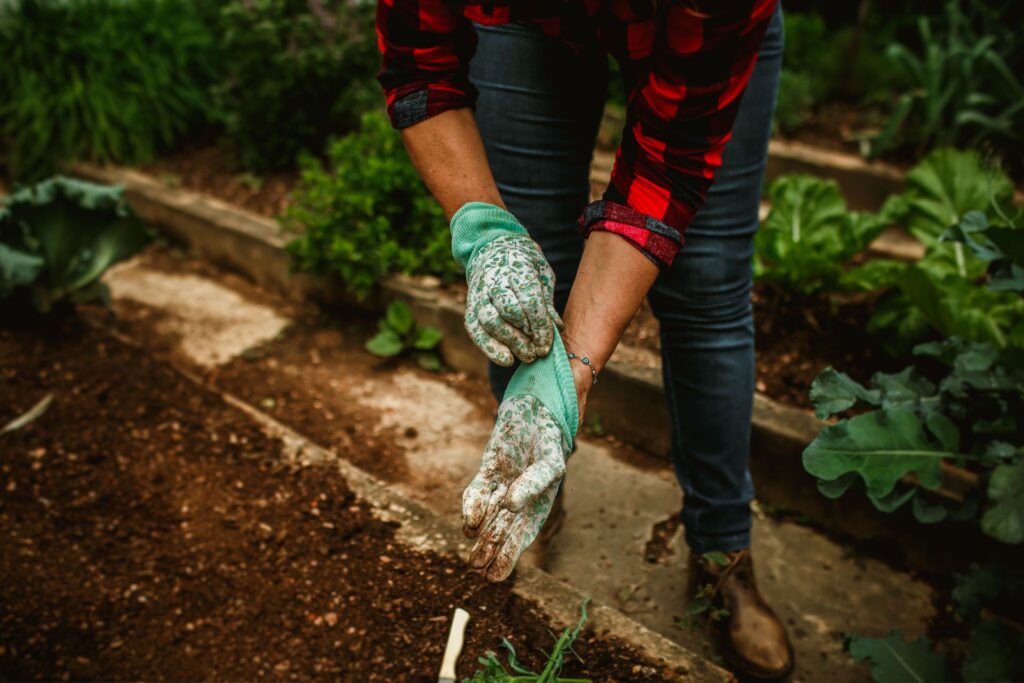 Step by Step Method of Mixing Soil In Raised Bed 