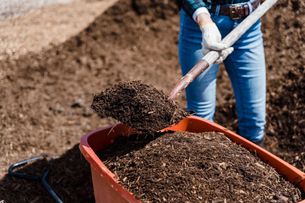Best Compost Depth for Flower Beds