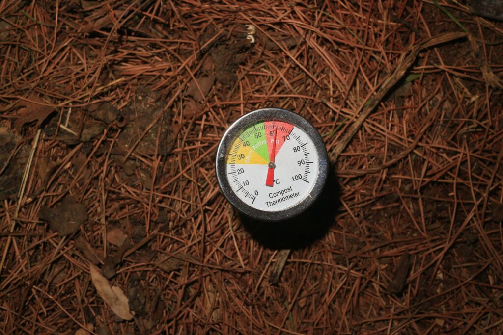 Best Compost Depth for Vegetable Garden