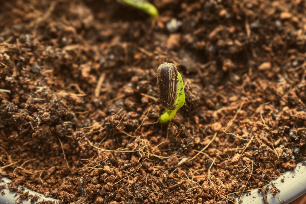Best Compost Depth