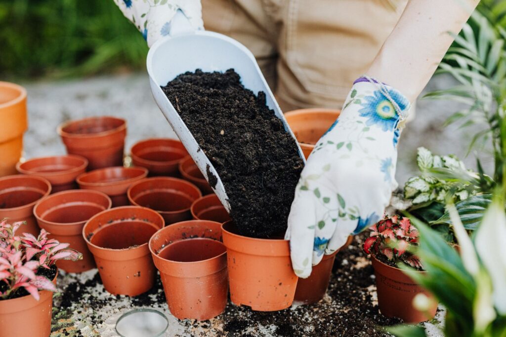 Bulk Soil vs Bagged Soil