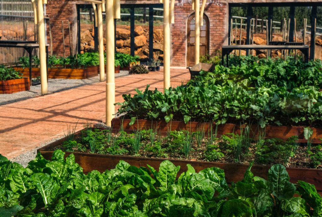 How to Calculate Compost for Raised Beds