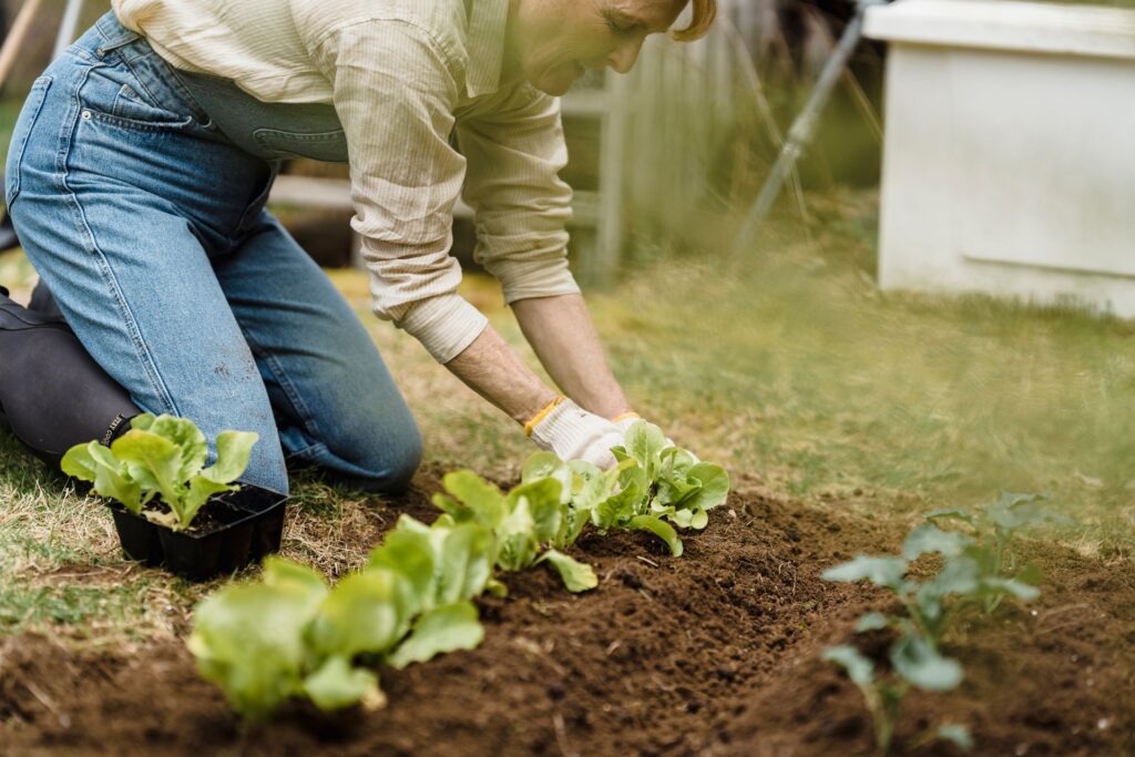 Common Mistakes Gardeners Make When Applying Compost