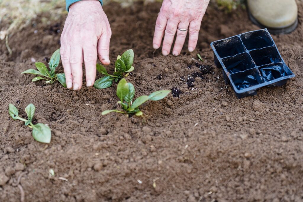 Common Mistakes That Shorten Soil Lifespan