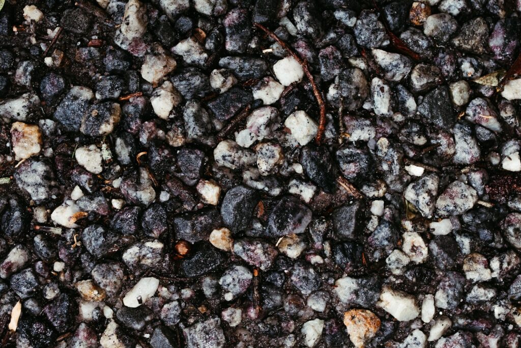 comparison between rocks in a garden