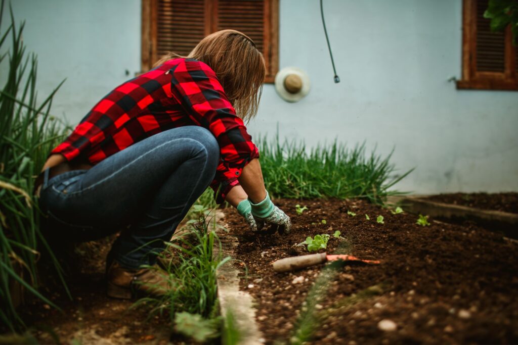Does Soil Type Change the Timeline of Soil?