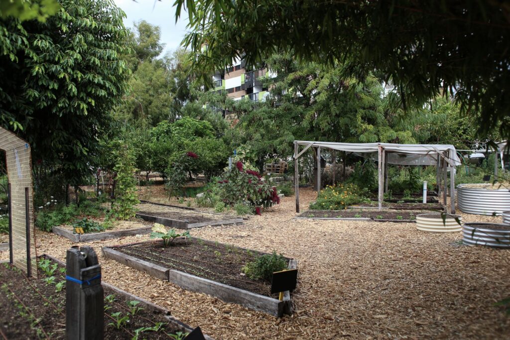 How to Get the Garden Area Right