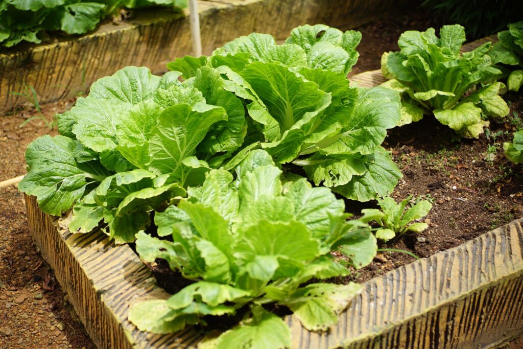 How Deep Should a Raised Garden Bed Be