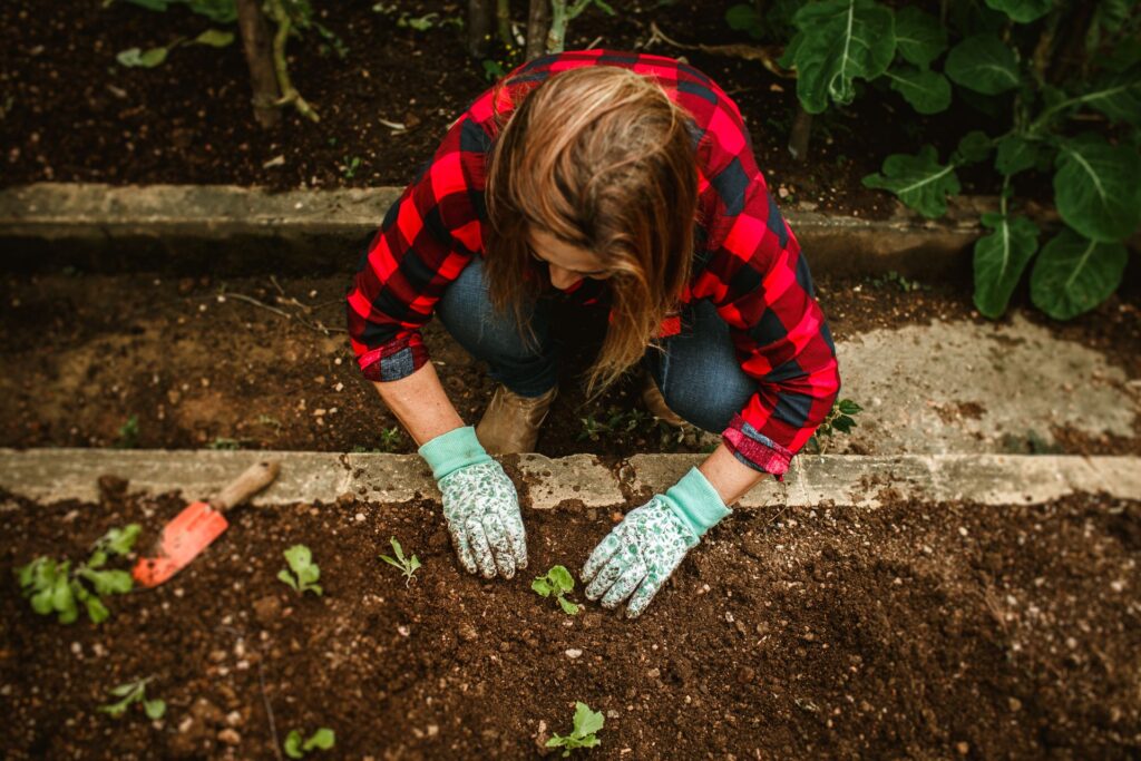 How Deep Should a Raised Garden Bed Be?