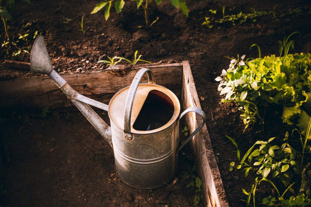 How Garden Depth Affects Watering Habits