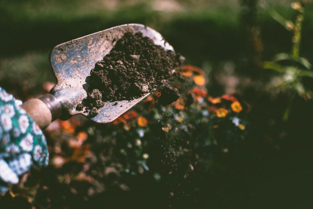 How Much Compost Should Be Added