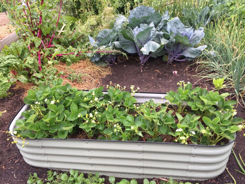 How Much Soil Do You Need for a Raised Garden Bed