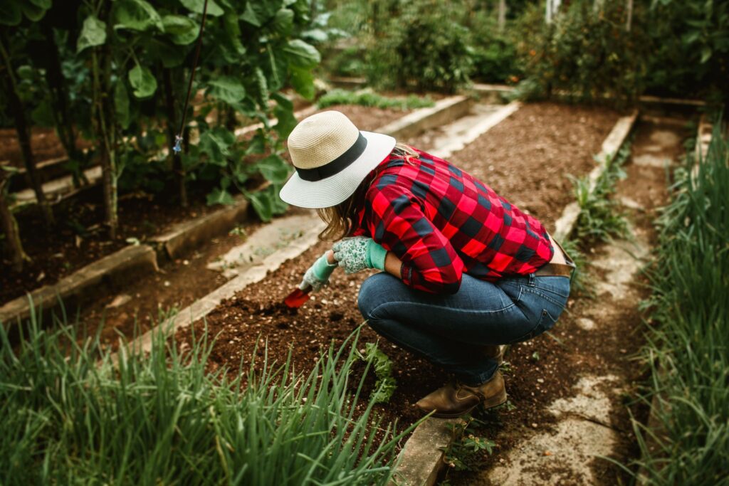 How Often Should You Replace Raised Bed Soil