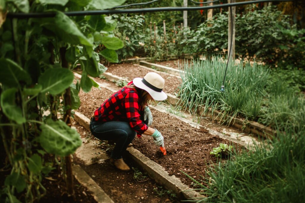 How to Reduce Soil Costs