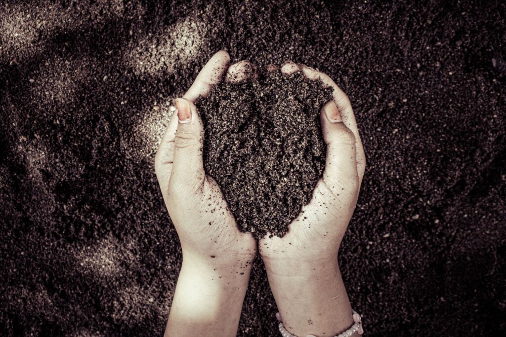 Mixing soil of Raised Bed