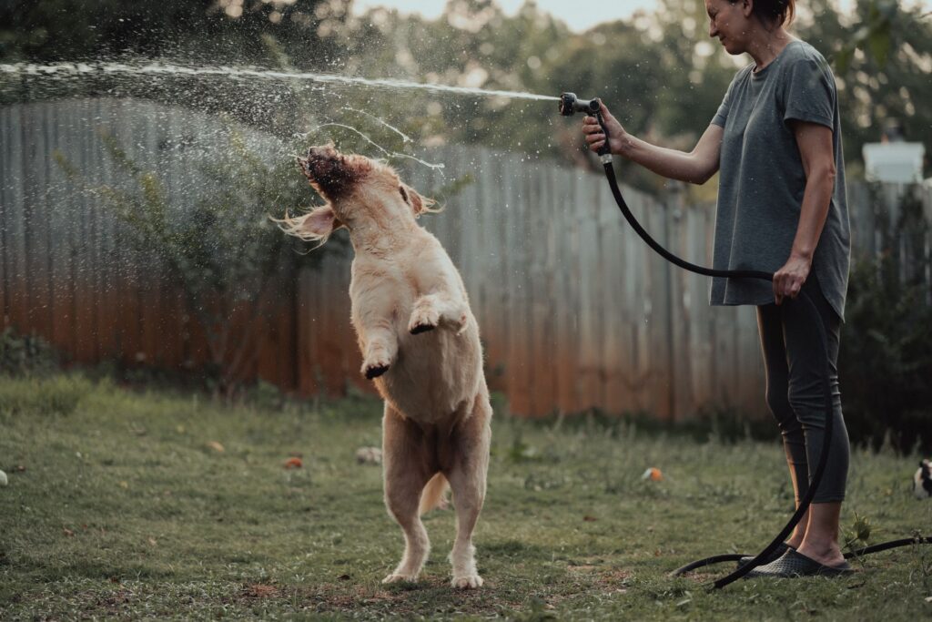 Maintenance Tips to Make Any Hose Last Longer
