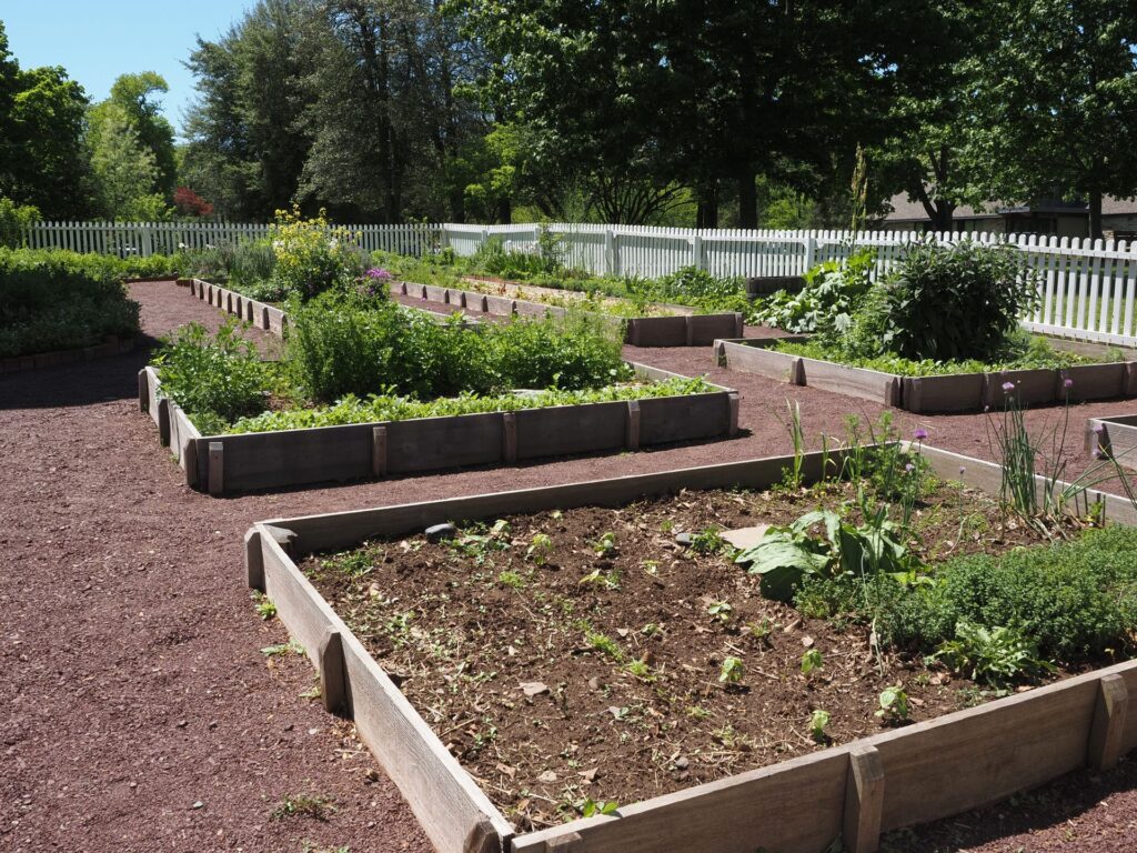 Mistakes to Avoid When Buying Soil for a Raised Bed