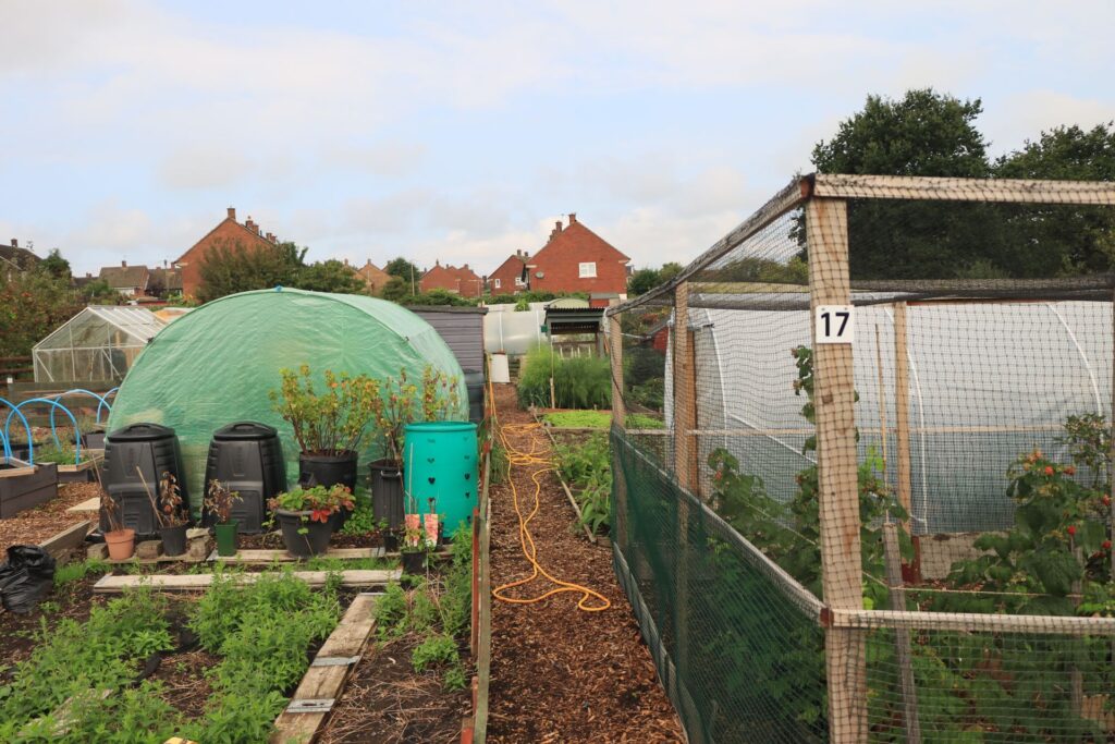 New Garden Beds vs Established Gardens