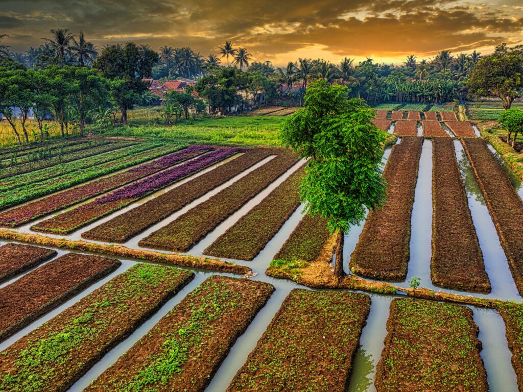 How we can Refresh Soil Between Seasons