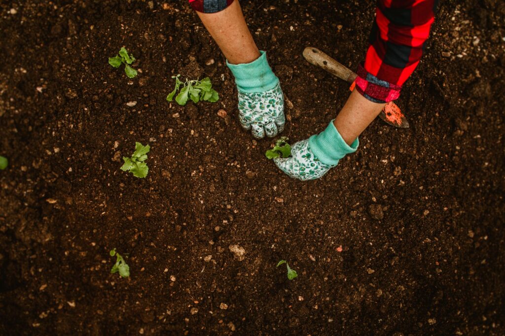 How to Avoid Over Watering in Soil