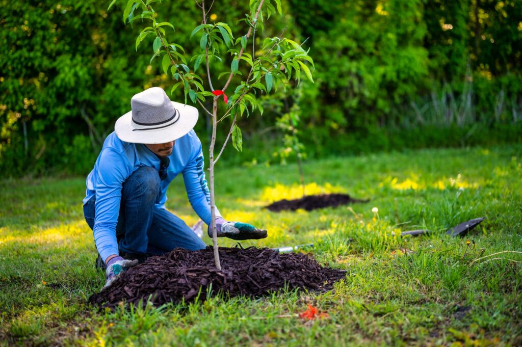 Best Buying Habits That Prevent Waste