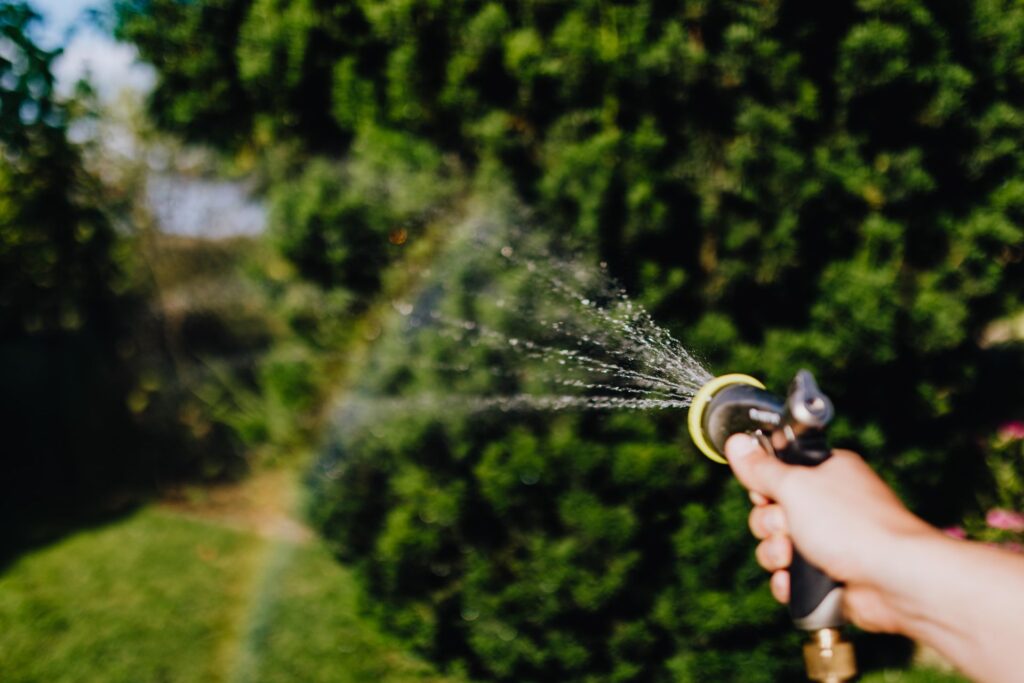 How to Understand Your Garden Water Needs