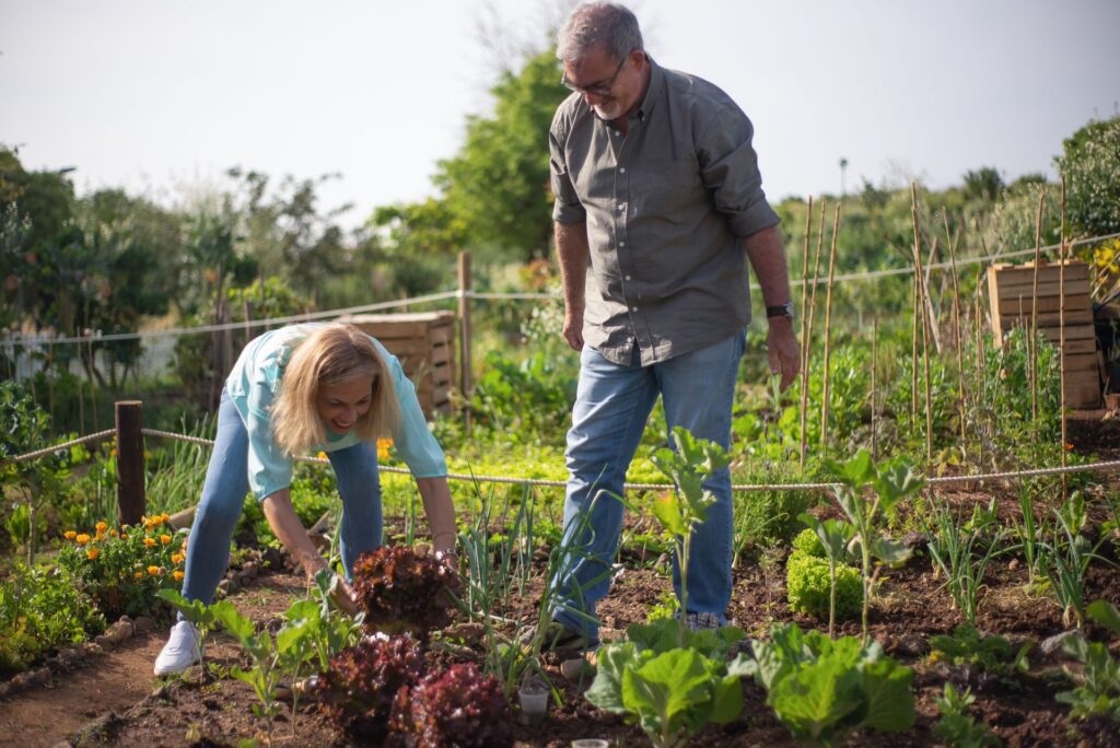How Much Compost Is Enough