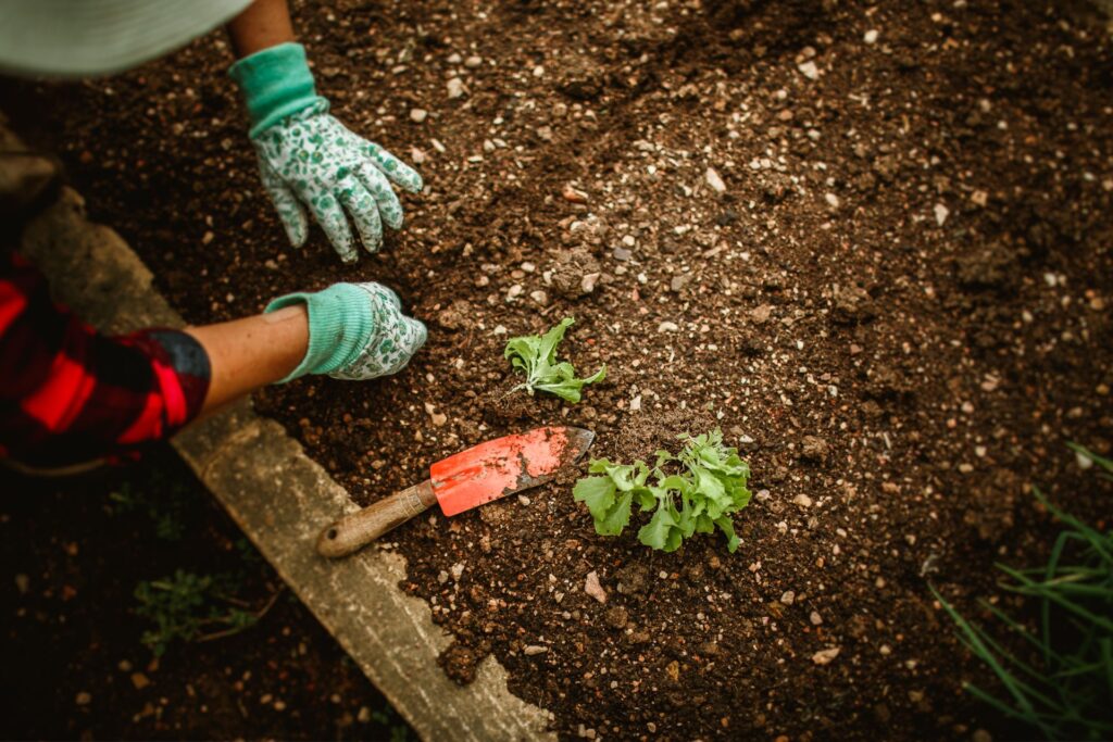 what should be the depth of raised bed